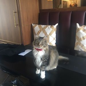 Meet your Posher, Riccardo